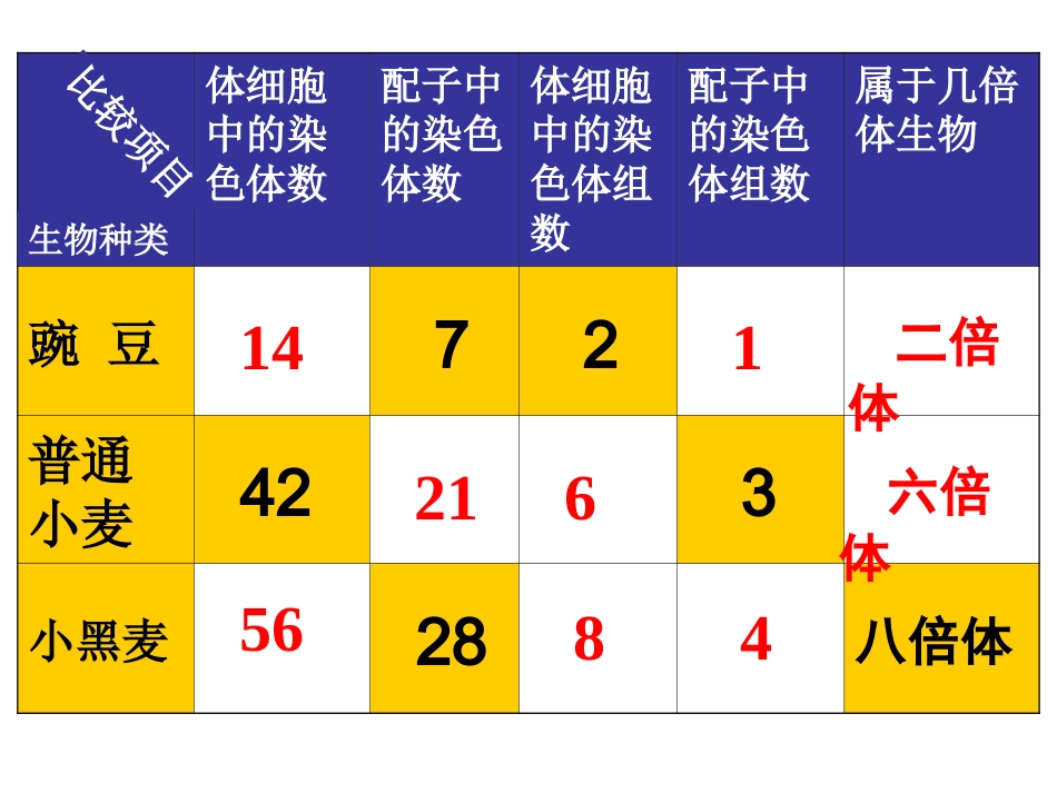 复习-育种方法_第2页
