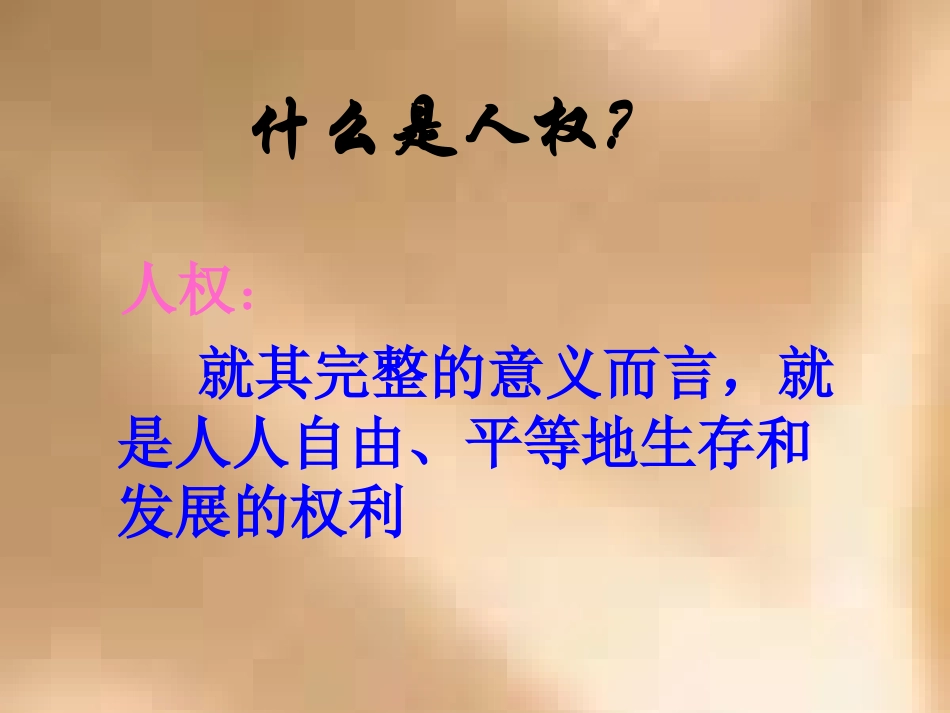 公民最基本的权利_第3页