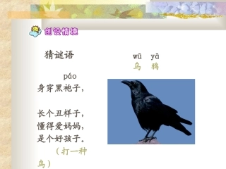 乌鸦喝水第一课时