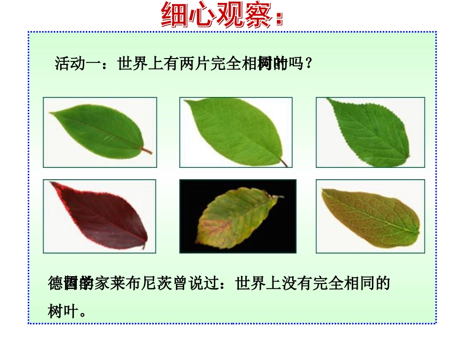 人的生命的独特性课件_第2页