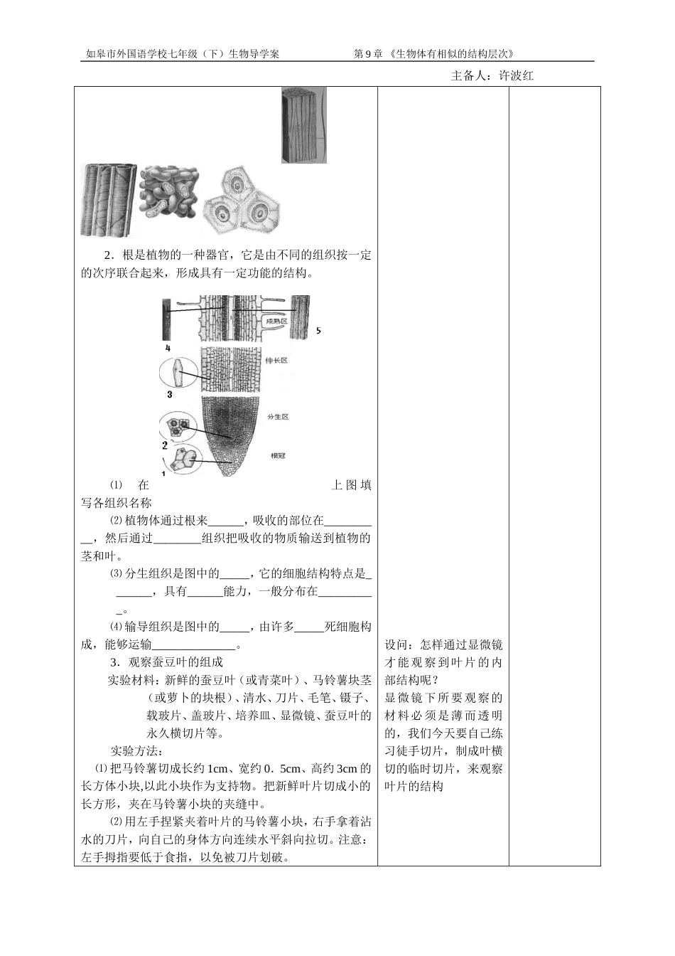 植物体的组成_第2页