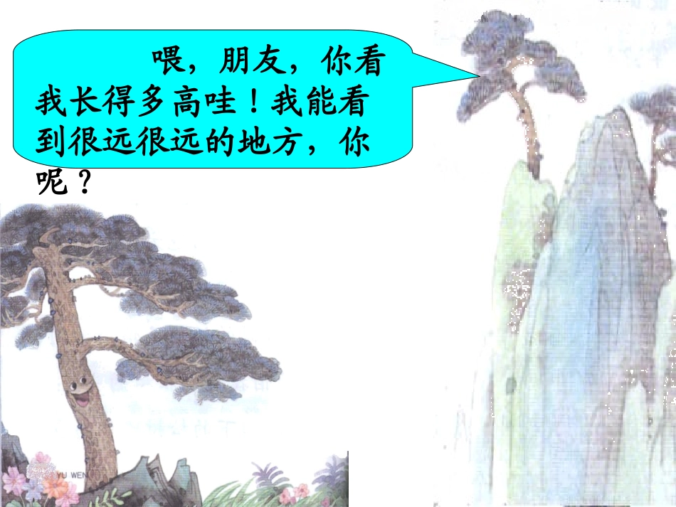 小松树和大松树PPT课件_第3页