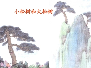 小松树和大松树PPT课件