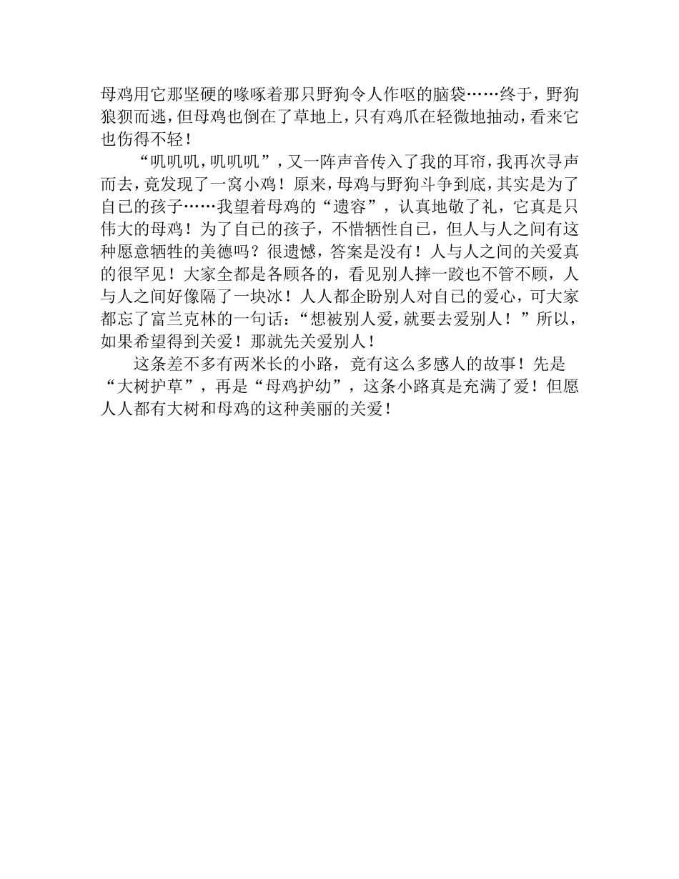 我家门前的小路_第2页