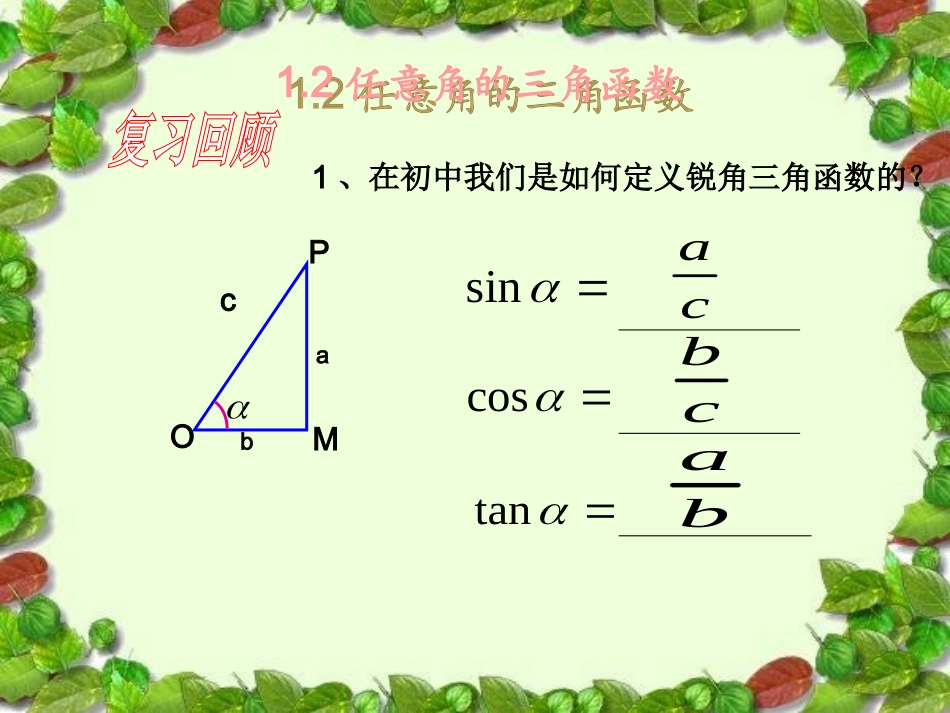 任意角的三角函数 (2)_第2页