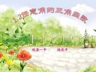 任意角的三角函数 (2)