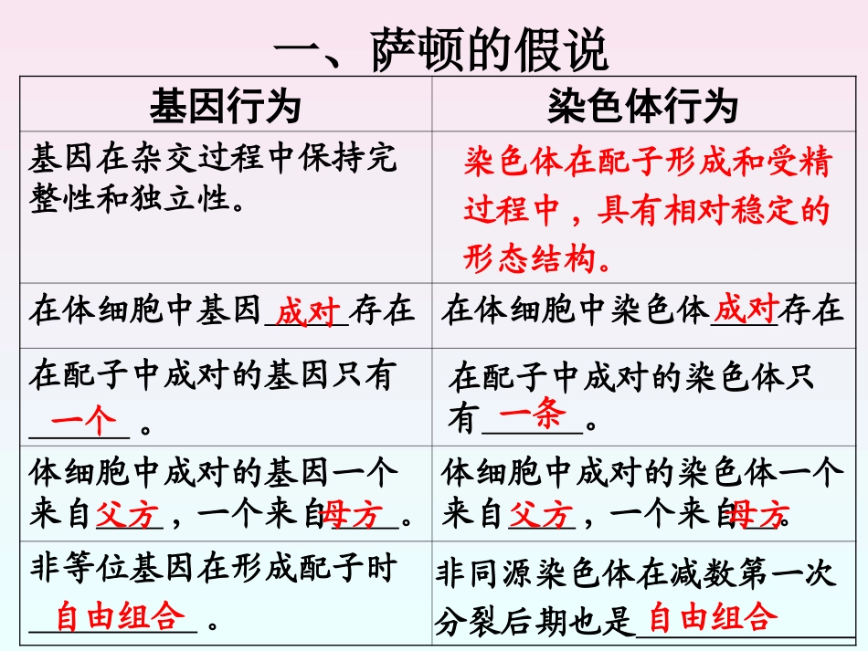 人教版教学课件第二章第2节_基因在染色体上(1)_第2页
