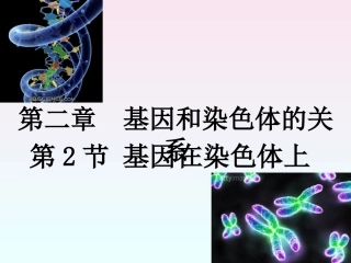 人教版教学课件第二章第2节_基因在染色体上(1)