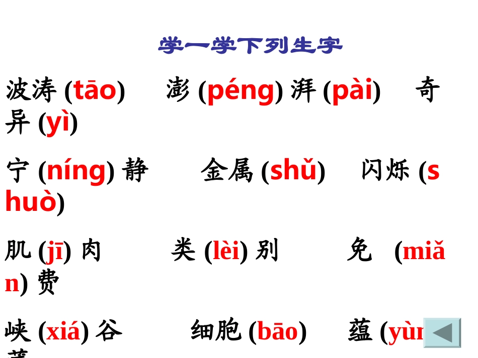 《海底世界》课件_第2页