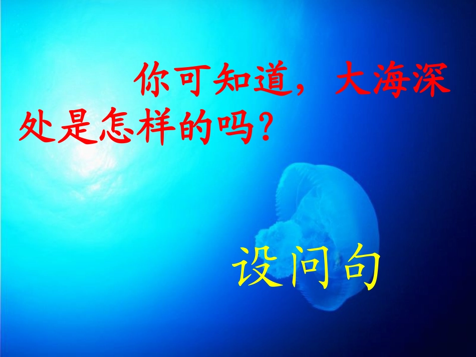 《海底世界》课件_第3页