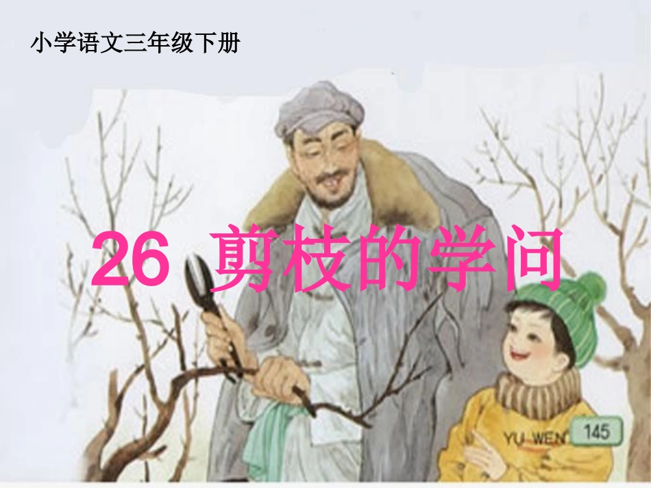 三年级语文下册第八组4剪枝的学问第二课时课件_第1页