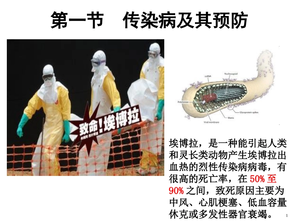 八年下册传染病及其预防_第1页