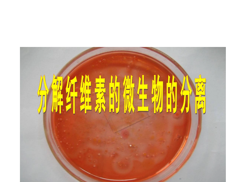 人教版选修1-专题2课题3分解纤维素的微生物的分离课件_第1页