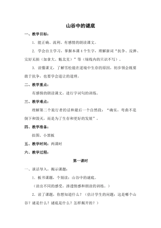 山谷中的谜底