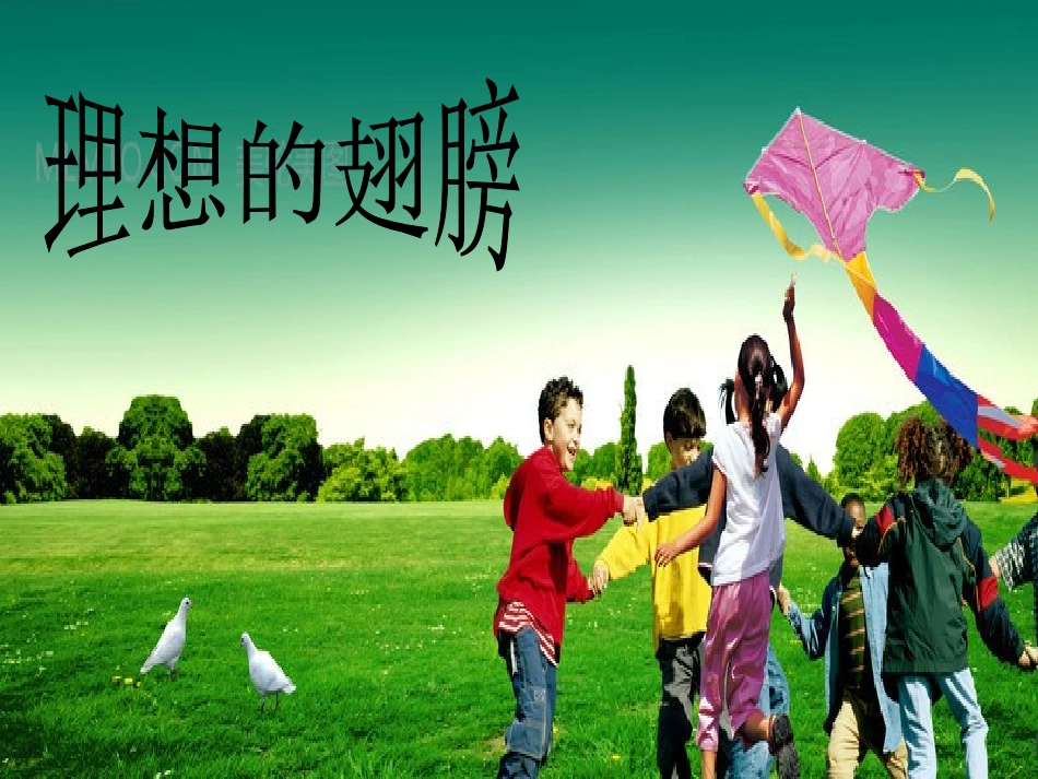 《理想的翅膀》课件_第2页
