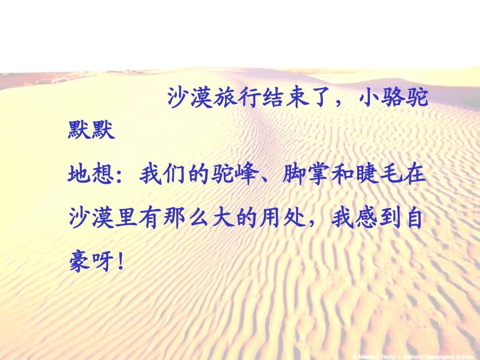 我应该感到自豪才对12_第2页