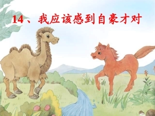 我应该感到自豪才对12