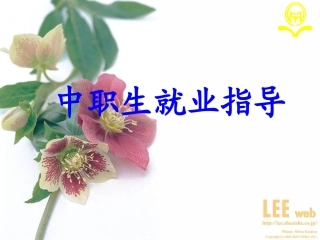 中职就业指导课件(1)