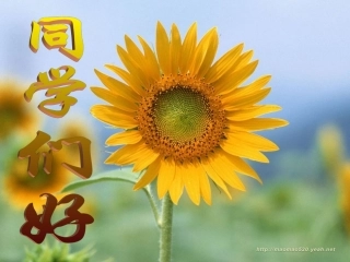 伟大的作曲家——贝多芬