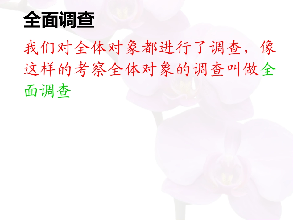 全面调查的教学设计_第3页