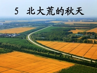 《北大荒的秋天》第二课时