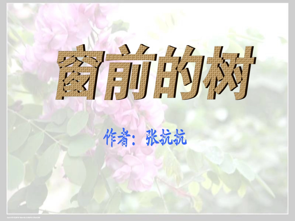 上课窗前的树-副本_第1页