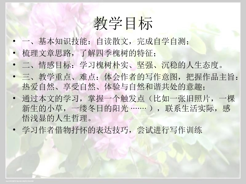 上课窗前的树-副本_第2页