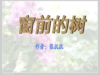 上课窗前的树-副本