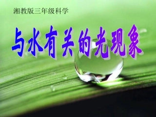 与水有关的光现象1