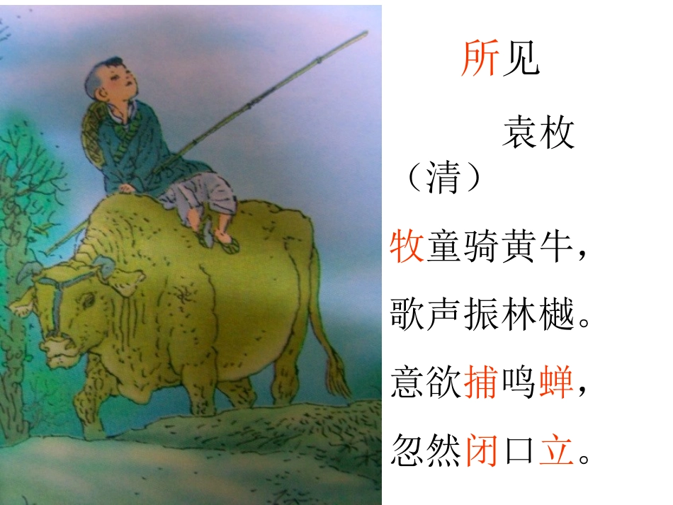 《所见》《小池》_第2页