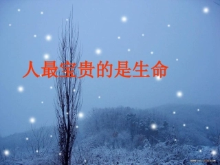 人最宝贵的是生命课件