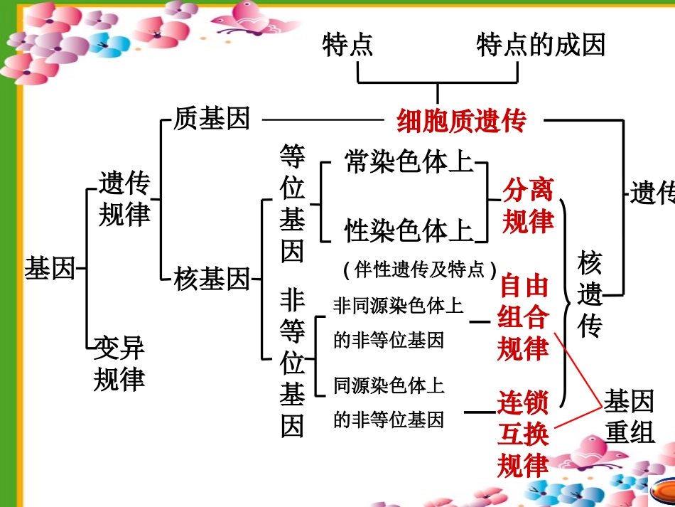 2015年专题四遗传学基本规律(二)_第2页