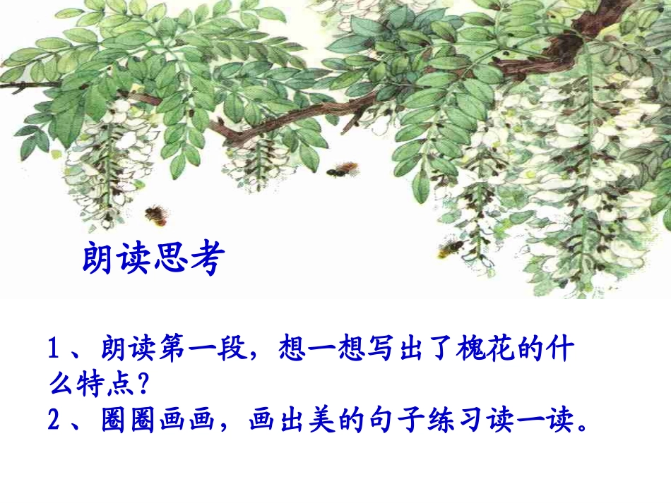 《槐乡五月》课件_第3页