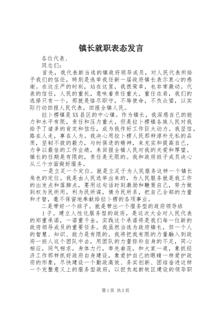镇长就职表态发言