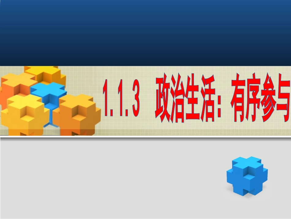 政治生活有序参与_第1页