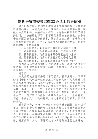 剖析讲解市委书记在XX会议上的讲话稿