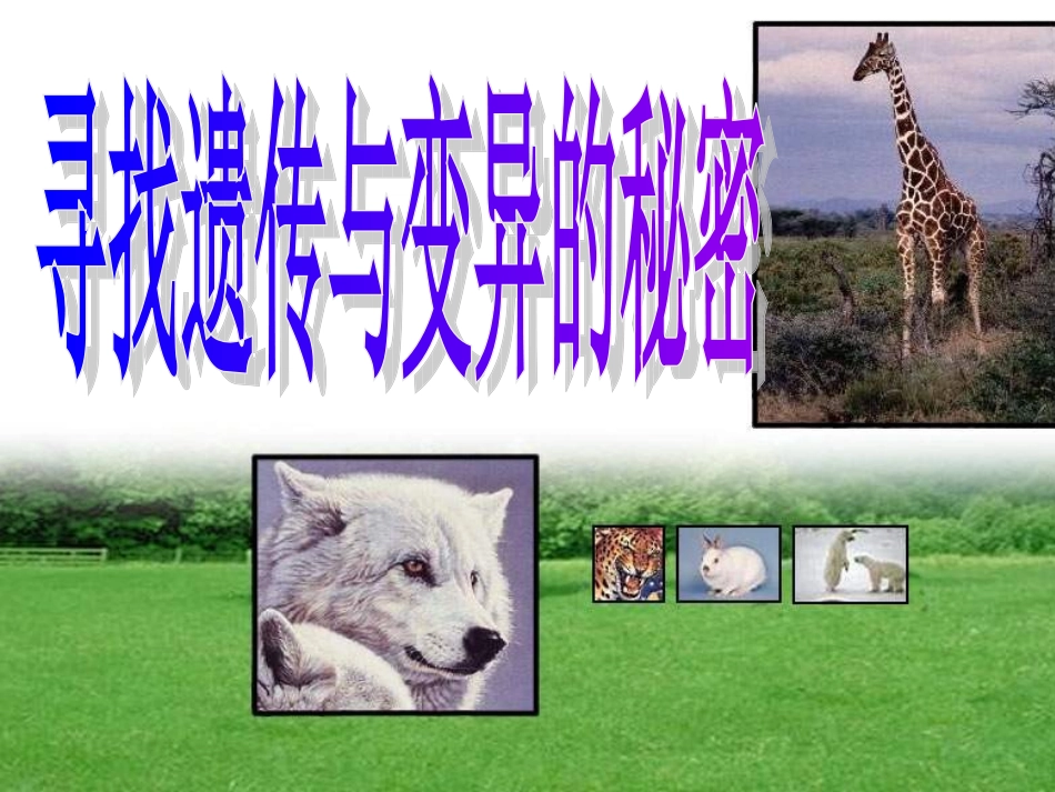 寻找遗传与变异的秘密_第1页
