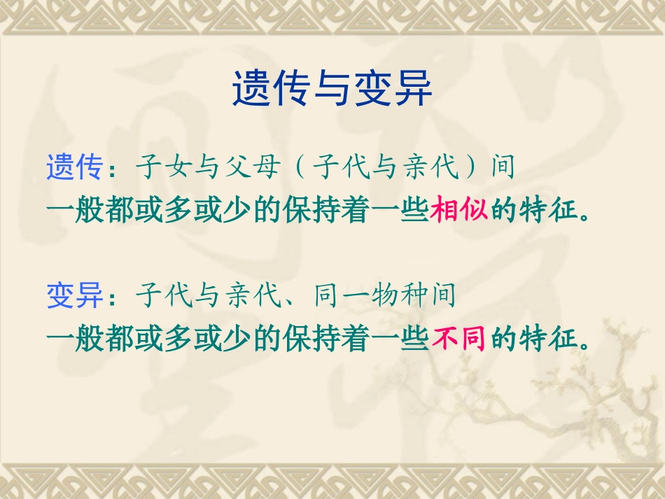 寻找遗传与变异的秘密_第2页