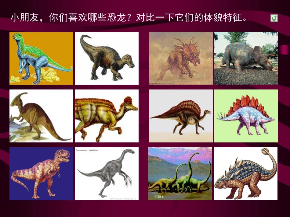 《恐龙世界》课件_第3页