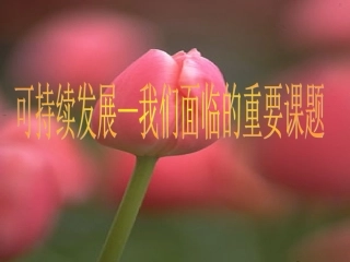 可持续发展__我们面临的重要课题（周振英）