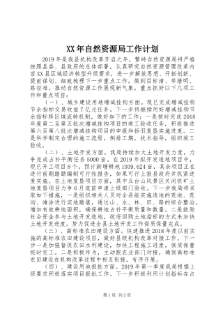 XX年自然资源局工作计划