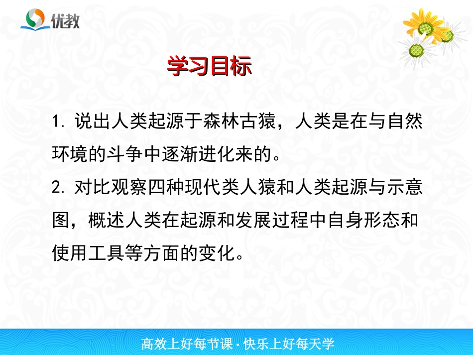《人类的起源和发展》探究型课件_第3页