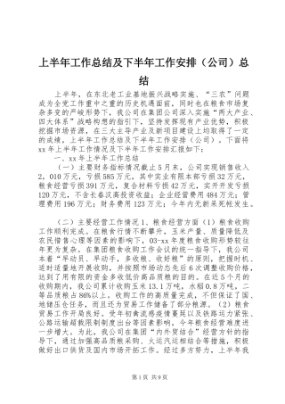 上半年工作总结及下半年工作安排（公司）总结