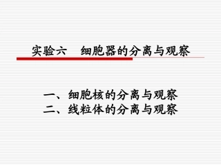06实验六  细胞器的分离与观察nj