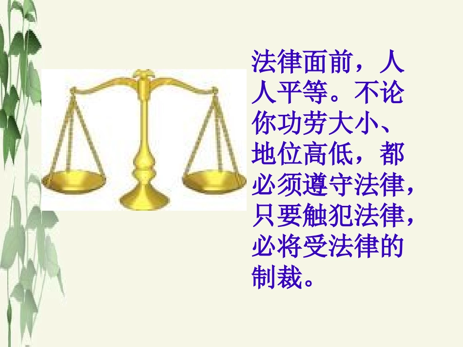 《法不可违》课件_第3页