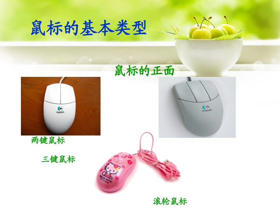 3.1 认识鼠标课件_PPT_第3页