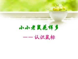 3.1 认识鼠标课件_PPT