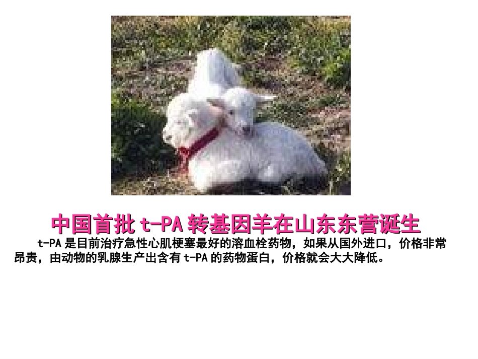 基因是有遗传效应的DNA片段_第3页