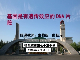 基因是有遗传效应的DNA片段