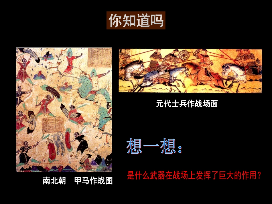 《威武的盾牌》课件_第2页